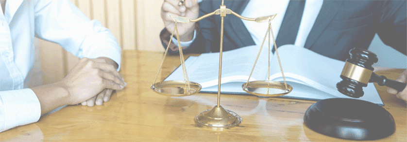 발표 장면에 아청법 위반 등 표시